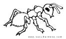 Ant coloring page