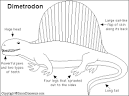 Dimetrodon - Enchanted Learning Software