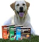 Do you have a pet? Heartgard Plus can save its life.