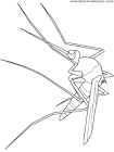 Mosquito coloring page