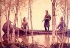 Newell Convers Wyeth : The Last Of The Mohicans