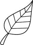 Pin Disegno Autunno 18 on Pinterest