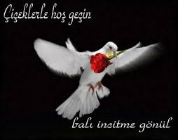 güzel söz