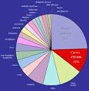 HPV: una <b>malattia sessualmente</b>