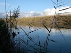 Foce del Fiume Irminio
