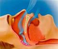 Sleep Apnea and Cancer Linked | TopNews Arab Emirates