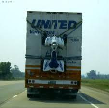 images?q=tbn:ANd9GcRliSRsyPXV2-rS6Hc9vGXnlrU-Gl2Sr3Otla1S1P-qn8hDY73NGg