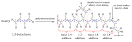 Hydroxyl-terminated polybutadiene - Wikipedia, the free encyclopedia