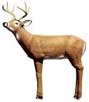 Delta Archery Targets McKenzie Archery Targets   DISCOUNTED 3 D