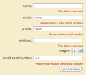 The NetBeans E-commerce Tutorial - Integrating Transactional