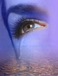 http://t2.gstatic.com/images?q=tbn:ANd9GcRmCqxzQY2DBU6DzrIhqJUqa8S14xbwGhD46KuzgIyWByayZqKsuOhp8wim