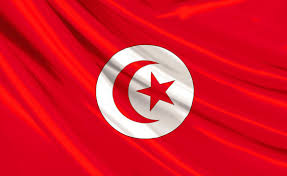 تونس نبراس الثورات العربية.** Images?q=tbn:ANd9GcRmFhfStM_CfqEDRetulTxQdSaKzR1lIoBQBmJt8yb7VhKoYRHo3w