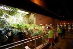 File:HERPETARIUM.JPG - Wikipedia, the free encyclopedia