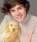 One Direction and Puppies: