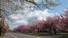 Cherry Hill Photos - Featured Images of Cherry Hill, NJ - TripAdvisor