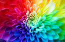 http://kaleidoscope.cultural-china.com/chinaWH/upload/Image/colors2.jpg