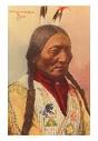 Roman Christendom: A Roman Catholic Sioux leader: Chief Sitting Bull