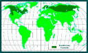 Habitat Awareness Coniferous Forest