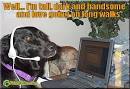 Internet Doggie Dating