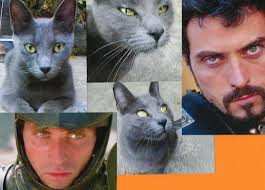 MY LITTLE KITTEN &quot;CHUSMY&quot;, ¡BEAUTIFUL EYES!, LIKE RUFUS SEWELL TOO. Fan of it? 0 Fans. Submitted by SAGRY73 over a year ago - MY-LITTLE-KITTEN-CHUSMY-BEAUTIFUL-EYES-LIKE-RUFUS-SEWELL-TOO-rufus-sewell-13717468-2560-1842