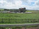 NS8435 : Strathclyde Nutrition Factory from M74 north - via Daymix