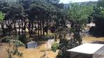 Zoo Animals on the Loose After Deadly Flooding Hits Tbilisi.