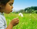 the wind will carry seeds,