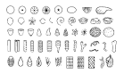Identifying Unknown Fossils (by their shape). Kentucky Geological ...