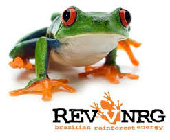 RevvNRG