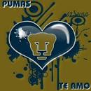 Imagenes Animadas De Pumas