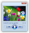 Flickr Slideshow Embed Flickr Slideshow