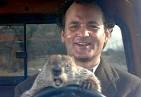 GROUNDHOG DAY videos, images and buzz