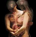 Medical Depiction of the Body    Josephine Sutton
