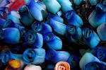 Rosas Azules
