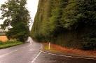 northern end and 80 feet high at southern end; average height 100 feet. - via Daymix