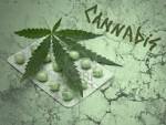 a leaf of marijuana (Cannabis