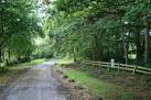 Coal Tax Post now in the private garden of Foxholes. - via Daymix