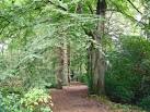 Wilmslow (Styal) - Styal Woods - via Daymix