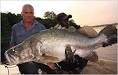 nile-perch-324x205.jpg