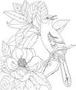 Bird coloring page