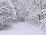 heavy_snow3.jpg