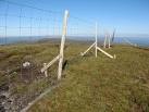 will do little for the life expectancy of the fence which is protecting - via Daymix
