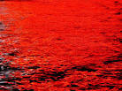 http://t2.gstatic.com/images?q=tbn:ANd9GcRqoShUs6T83xKrHhd4JOX_nxZbxIAomig_rskjQM_GoUKAZC-lfC6GPlo