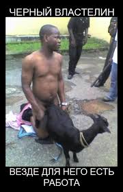 images?q=tbn:ANd9GcRqoelYIlk-RXAmFTVeZzFHKQUc05XdRi0D9r9b12IRxwyRAePGvpYhq_DqiQ