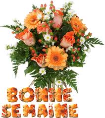 http://t2.gstatic.com/images?q=tbn:ANd9GcRqomg2e7afMxuR5ADjJvbYwwtfyc1ZD4EfNjPbgHdFJVDA9M2G