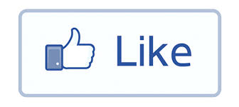 http://t2.gstatic.com/images?q=tbn:ANd9GcRr78A_7kPfusHxIVhgZfBC3rrqZf2xWj1nZPok4hCRMgCPHiacdg