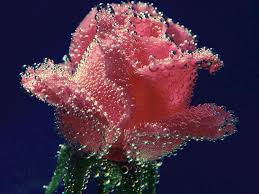 images?qtbnANd9GcRrGGhcG7psXKFz0FzkL PXOV6km6tEpm4zIsBX rDcuK8NWACP