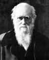 Darwin's 200th Birthday: His Theory of Evolution Still ...