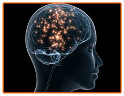 http://t2.gstatic.com/images?q=tbn:ANd9GcRrNmuid8t3ycUM3DUpfJklMvHql5e6yteiBACdXCcEeqSQBjuUdw