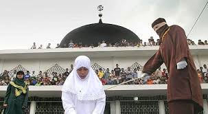 images?q=tbn:ANd9GcRrlKs4mv0THO0r_LbkTzk5Ut6oghO6mULKipPCJX01EydO7OOQ